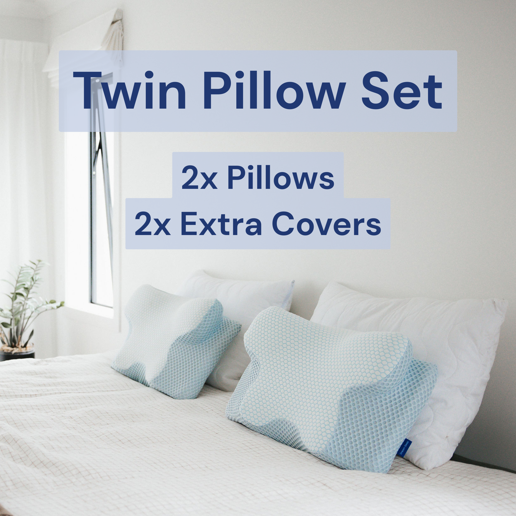 Signature Twin Pillow Set
